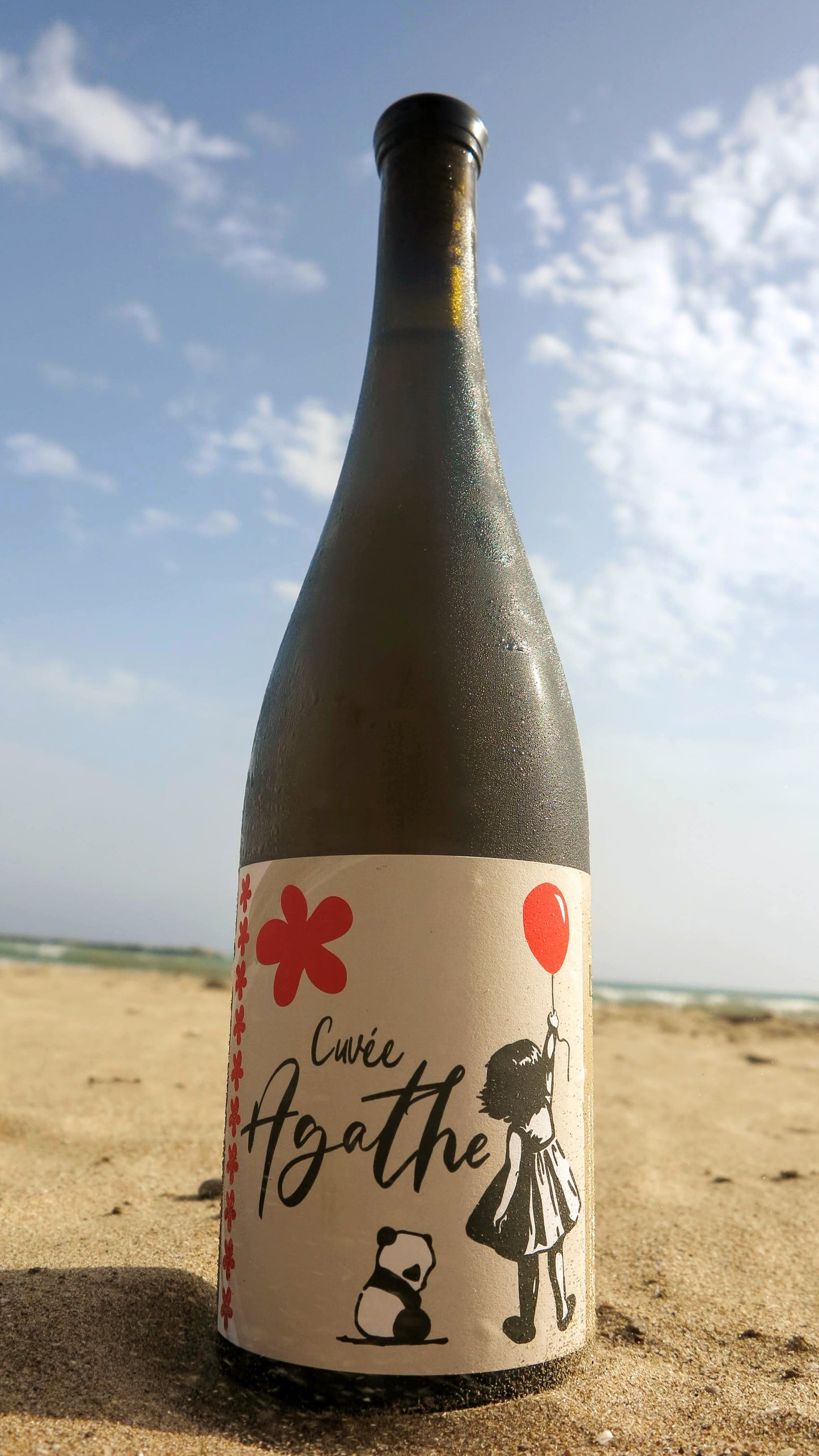 Domaine du Petit Bouchon - Cuvée Agathe