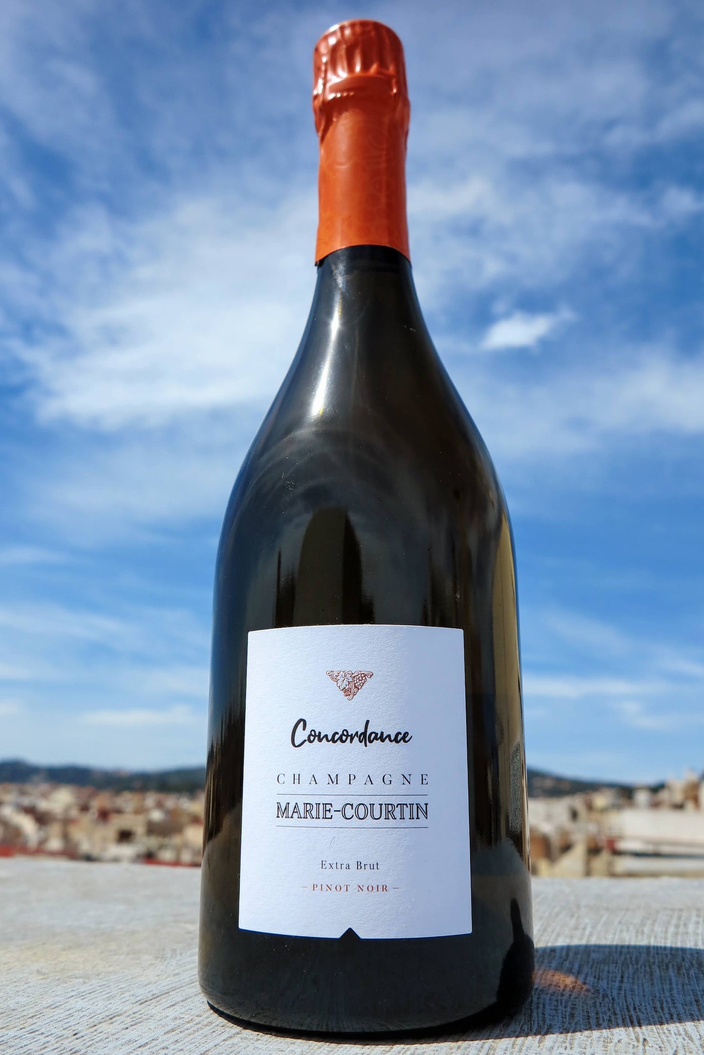 Champagne Cuvée Concordance Extra Brut 2018- Pinot noir sin SO2