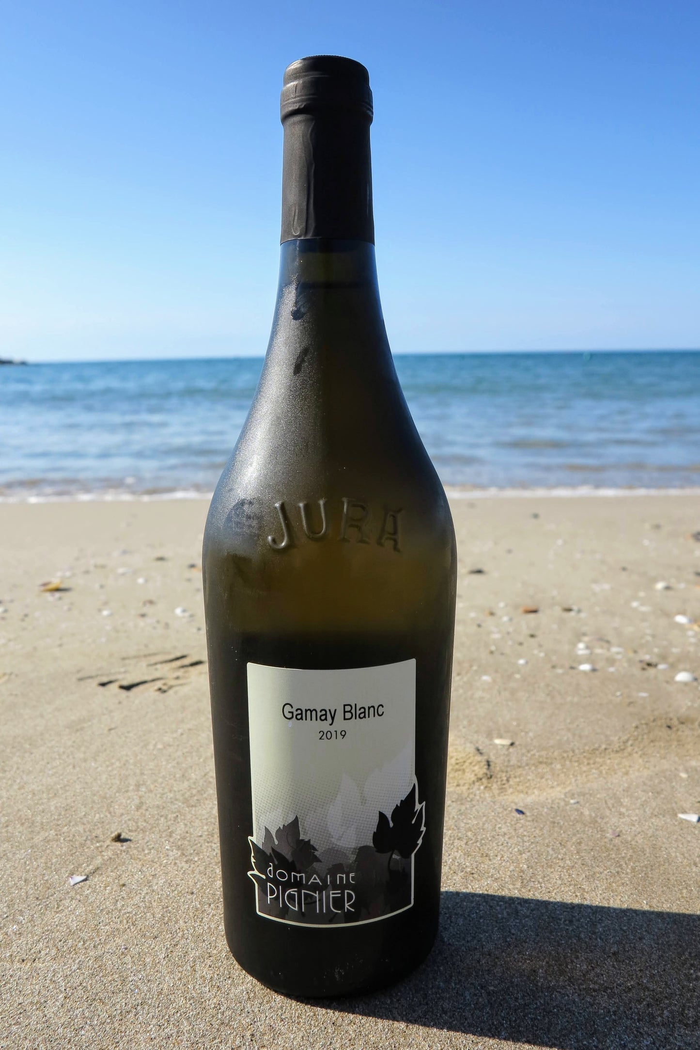 Gamay blanc en cuve diamante 2019 - Domaine Pignier